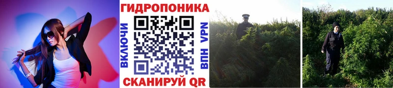 цена   дарк нет клад  Бошки марихуана Amnesia  Шали 